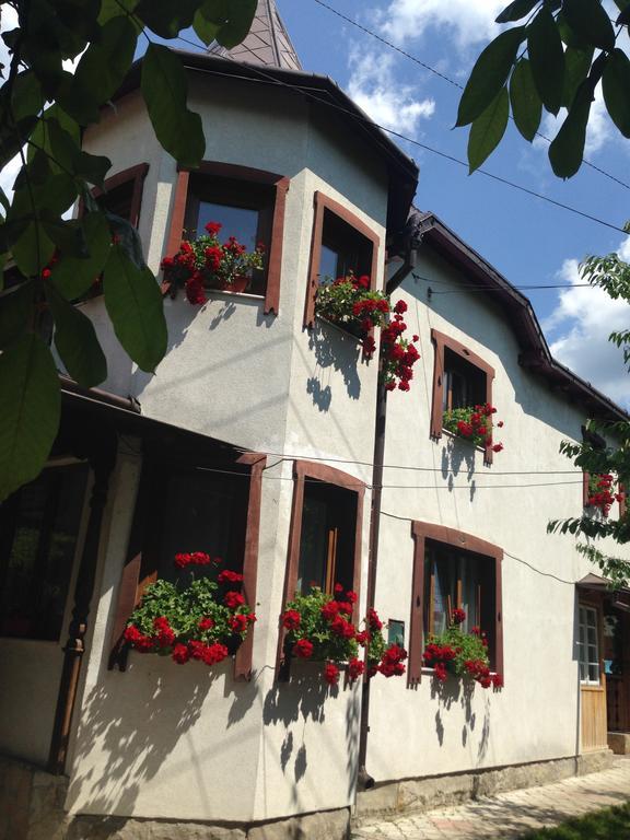Pensiunea Casa Bianca - Bucovina Vama  Eksteriør billede